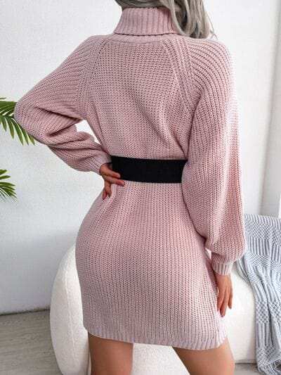 Decorative Button Turtleneck Sweater Dress - Trendsi - Flyclothing LLC
