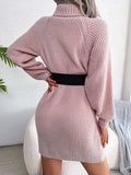 Decorative Button Turtleneck Sweater Dress - Trendsi - Flyclothing LLC