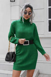 Ribbed Turtle Neck Long Sleeve Mini Sweater Dress - Trendsi - Flyclothing LLC