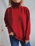Turtleneck Long Sleeve Sweater - Trendsi - Flyclothing LLC