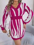 Animal Print V-Neck Long Sleeve Sweater Dress - Trendsi - Flyclothing LLC