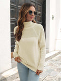 Turtleneck Raglan Sleeve Sweater - Trendsi - Flyclothing LLC