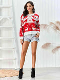 Reindeer Round Neck Sweater - Trendsi - Flyclothing LLC