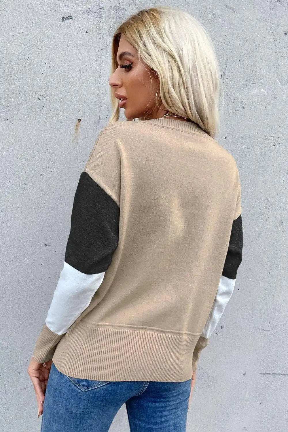 Color Block Ribbed Trim Round Neck Knit Pullover - Trendsi - Flyclothing LLC