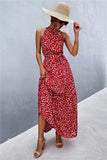 Printed Sleeveless Tie Waist Maxi Dress - Trendsi - Flyclothing LLC