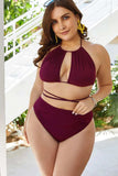 Plus Size Cutout Tied Backless Bikini Set - Trendsi - Flyclothing LLC