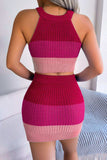 Color Block Sleeveless Crop Knit Top and Skirt Set - Trendsi - Flyclothing LLC