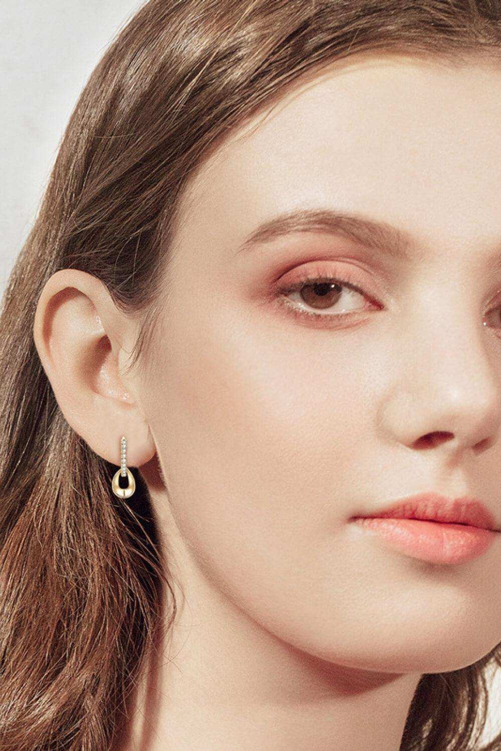 925 Sterling Silver Moissanite Double Hoop Earrings - Trendsi - Flyclothing LLC