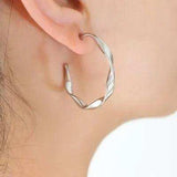 Titanium Steel C-Hoop Earrings - Trendsi - Flyclothing LLC