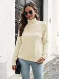 Turtleneck Raglan Sleeve Sweater - Trendsi - Flyclothing LLC