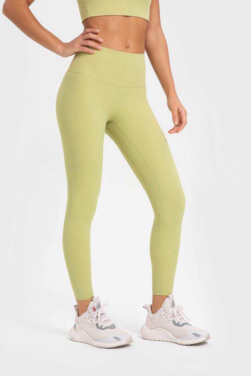 Highly Stretchy Wide Waistband Yoga Leggings - Trendsi - Flyclothing LLC