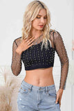Pearl Long Sleeve Mesh Cropped Top - Trendsi - Flyclothing LLC