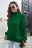 Turtleneck Rib-Knit Sweater - Trendsi - Flyclothing LLC