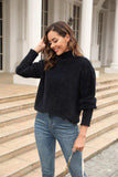 Turtle Neck Long Sleeve Pullover Sweater - Trendsi - Flyclothing LLC