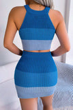 Color Block Sleeveless Crop Knit Top and Skirt Set - Trendsi - Flyclothing LLC
