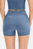 Slim Fit Wide Waistband Sports Shorts - Trendsi - Flyclothing LLC