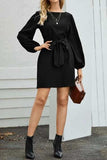 Tied Boat Neck Balloon Sleeve Mini Dress - Trendsi - Flyclothing LLC