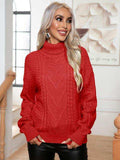 Turtleneck Cable-Knit Long Sleeve Sweater - Trendsi - Flyclothing LLC