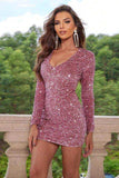 Sequin V-Neck Long Sleeve Mini Dress - Trendsi - Flyclothing LLC