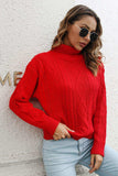 Turtleneck Long Sleeve Sweater - Trendsi - Flyclothing LLC