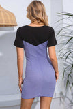 Round Neck Two-Tone Mini Dress - Trendsi - Flyclothing LLC