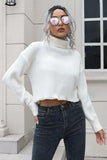 Turtleneck Dropped Shoulder Sweater - Trendsi - Flyclothing LLC