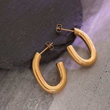Titanium Steel Gold-Plated Earrings - Trendsi - Flyclothing LLC