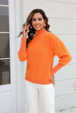 Turtle Neck Long Sleeve Pullover Sweater - Trendsi - Flyclothing LLC