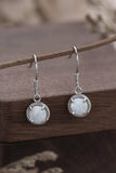 Join The Fun Opal Earrings - Trendsi - Flyclothing LLC