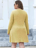 Plus Size Ribbed Buttoned V-Neck Long Sleeve Dress - Trendsi - Flyclothing LLC