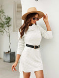 Turtleneck Long Sleeve Slit Sweater Dress - Trendsi - Flyclothing LLC