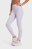 Highly Stretchy Wide Waistband Yoga Leggings - Trendsi - Flyclothing LLC