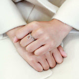 Alamode Two-Tone IP Gold (Ion Plating) Stainless Steel Ring with AAA Grade CZ in Clear - Alamode - Flyclothing LLC