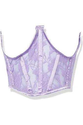 Lavish Lavender Sheer Lace Underwire Waist Cincher Corset - Daisy Corsets - Flyclothing LLC