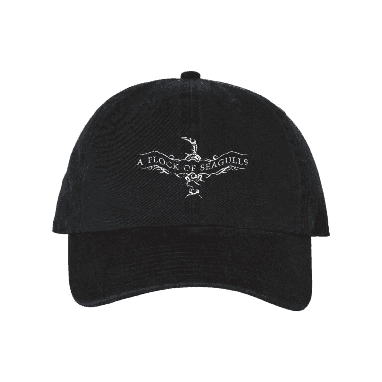 A Flock of Seagulls LOGO Hat - A Flock of Seagulls - Flyclothing LLC