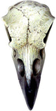 The Vault Reliquary Raven Skull - Alchemy Gothic - Flyclothing LLC
