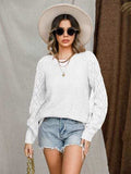 Openwork Round Neck Raglan Sleeve Sweater - Trendsi - Flyclothing LLC