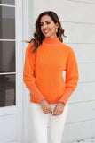 Turtle Neck Long Sleeve Pullover Sweater - Trendsi - Flyclothing LLC