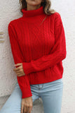 Turtleneck Long Sleeve Sweater - Trendsi - Flyclothing LLC