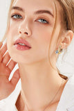 4 Carat Moissanite 925 Sterling Silver Earrings - Trendsi - Flyclothing LLC