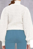 Frill Turtleneck Lantern Sleeve Blouse - Trendsi - Flyclothing LLC