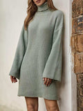 Turtleneck Dropped Shoulder Sweater Dress - Trendsi - Flyclothing LLC