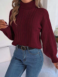 Cable-Knit Turtleneck Sweater - Trendsi - Flyclothing LLC