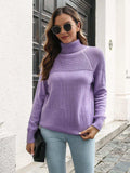 Turtleneck Raglan Sleeve Sweater - Trendsi - Flyclothing LLC