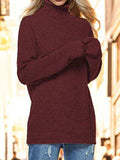 Turtleneck Drop Shoulder Long Sleeve Sweater - Trendsi - Flyclothing LLC