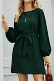 Tied Boat Neck Balloon Sleeve Mini Dress - Trendsi - Flyclothing LLC