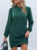 Drawstring Puff Sleeve Hooded Dress - Trendsi - Flyclothing LLC