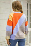 Color Block Round Neck Long Sleeve Sweater - Trendsi - Flyclothing LLC