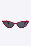 Polycarbonate Cat-Eye Sunglasses - Trendsi - Flyclothing LLC