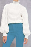 Frill Turtleneck Lantern Sleeve Blouse - Trendsi - Flyclothing LLC